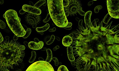 Bacterium Shadertoy